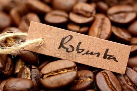 13392665-coffee-robusta-1452398850877-550x368